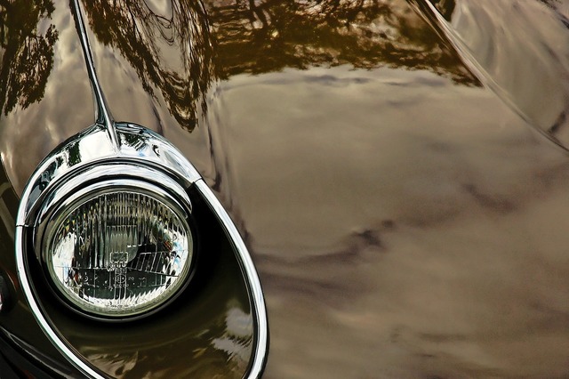 A close up of a car hood ornament. Jaguar white auto. - PICRYL - Public  Domain Media Search Engine Public Domain Search