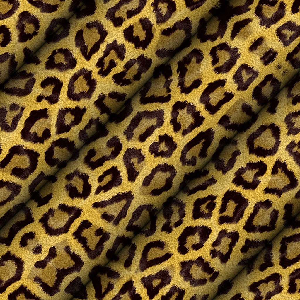 Leopard Print Fabric - Free photo on Pixabay - Pixabay