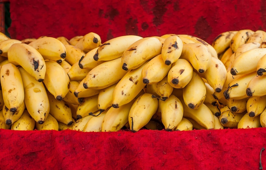 Bunch of Three Unpeeled Ripe Bananas by Sabelskaya