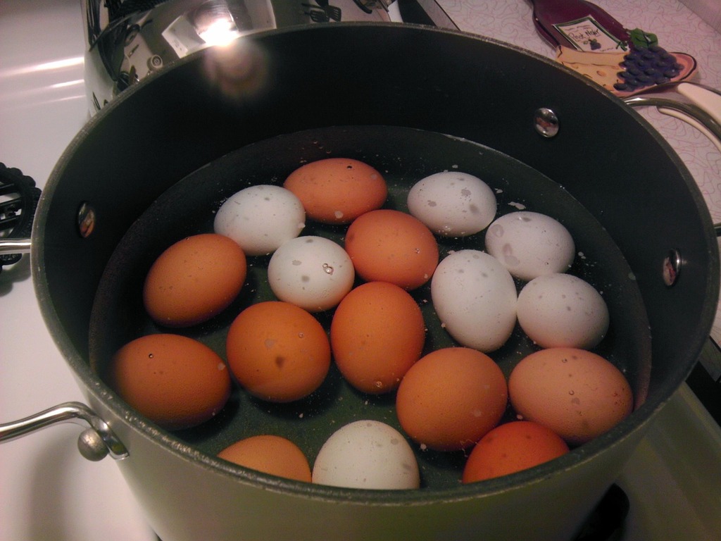 https://cdn12.picryl.com/photo/2016/12/31/boiling-eggs-cooking-food-drink-cdbd8a-1024.jpg