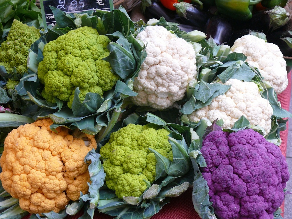 Image of Cauliflower, vegetable with white background, in the day time, in  mirpur Azad Kashmir.-ZE185104-Picxy