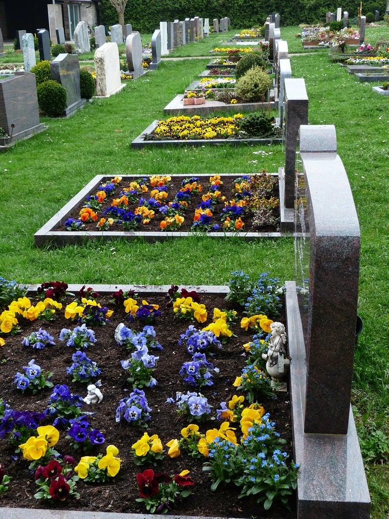Plants Cemetery Stones S