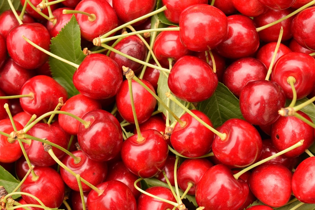 A close up of a bunch of cherries. Cherries background fruit ...