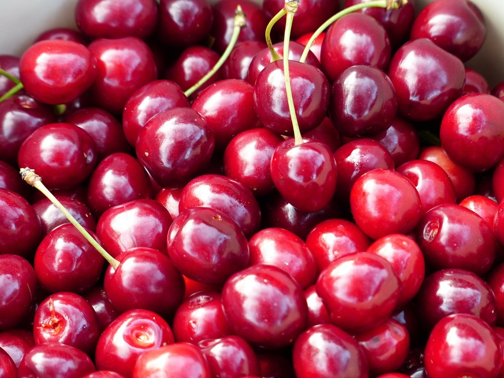 Fruit Pattern With Cherry Vector. Summer Cherries Sweet Fruit