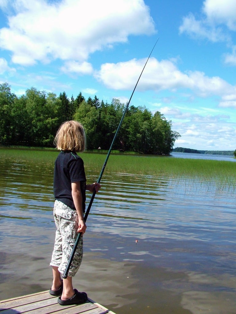 A little boy standing on a dock holding a fishing pole. Child fish