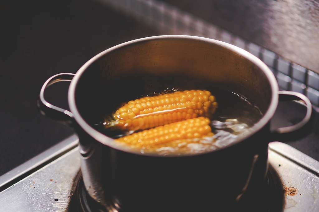 https://cdn12.picryl.com/photo/2016/12/31/cooking-boiling-corn-food-drink-1fafbb-1024.jpg