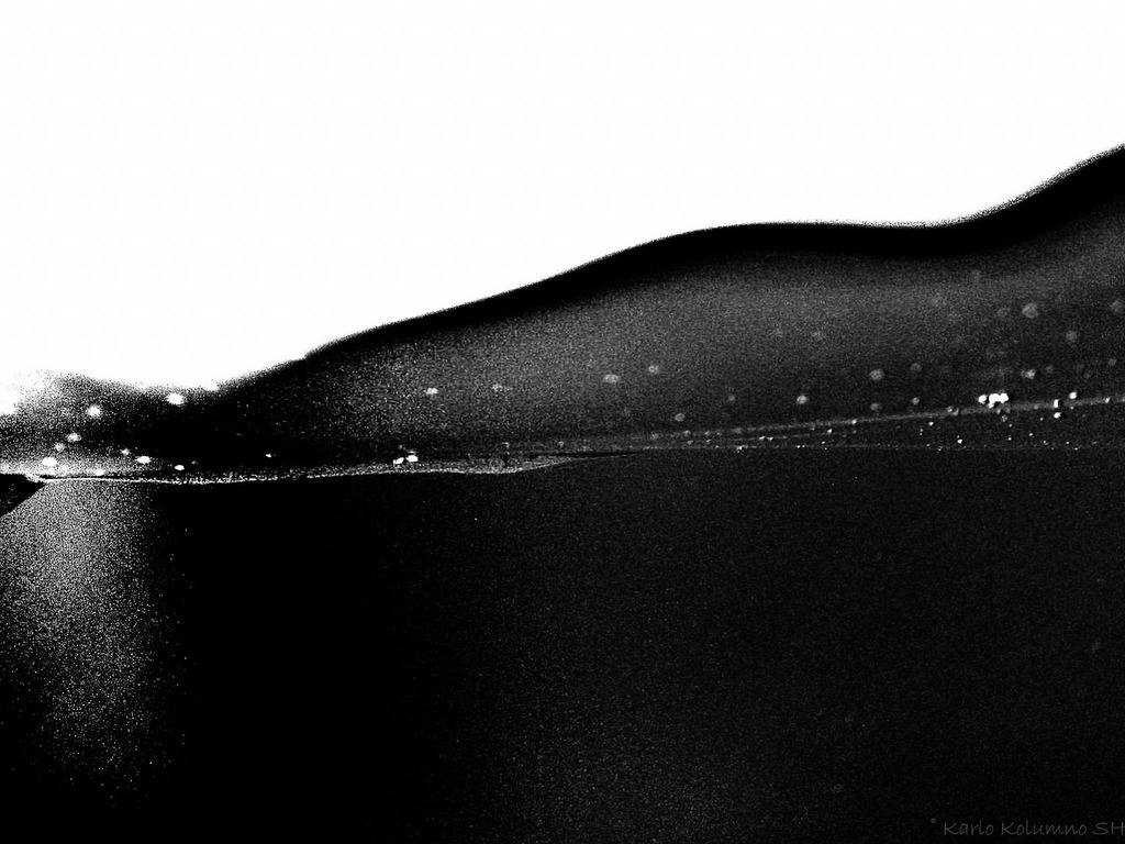 Star Fish., Bernard Spragg Photo - PICRYL - Public Domain Media Search  Engine Public Domain Search