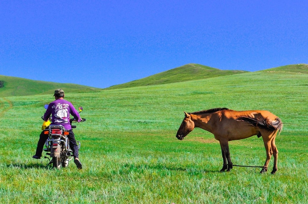 kirghiz steppe grassland