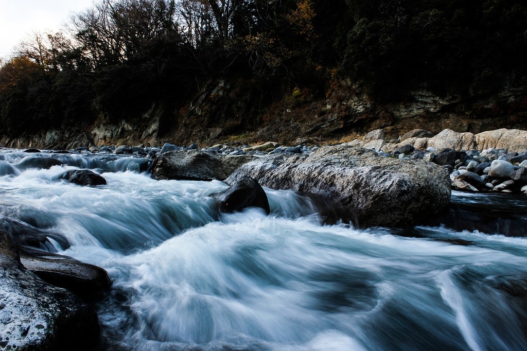 A stream running through a lush green forest. Forest river flowing