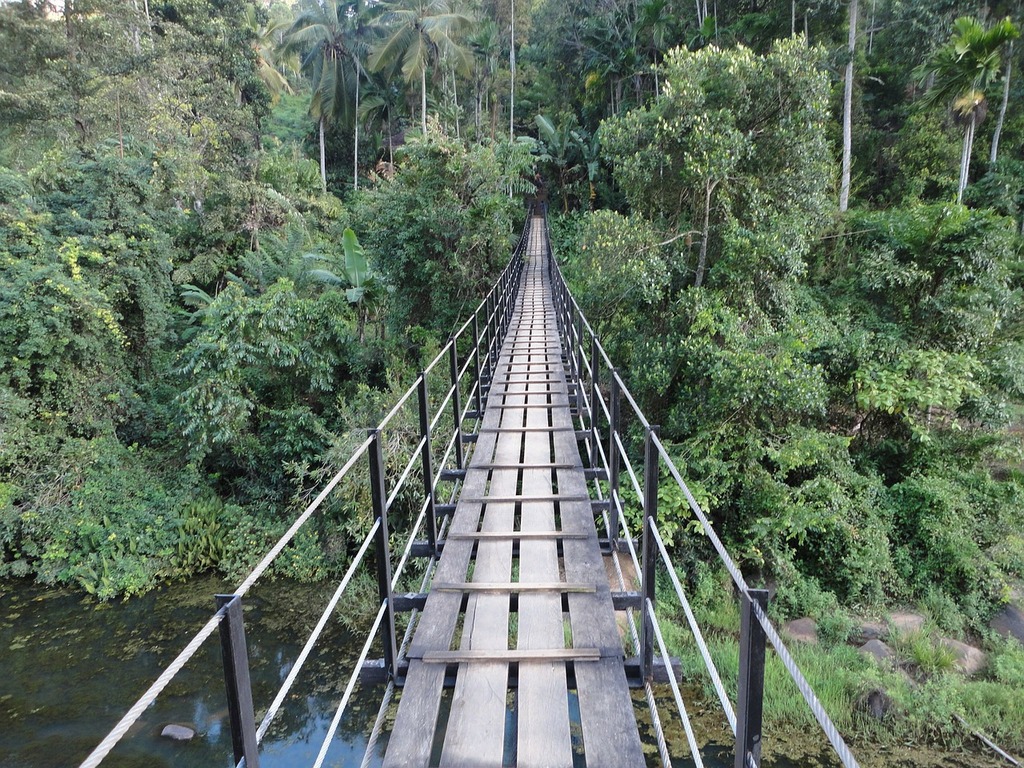 A suspension bridge over a river in the jungle. Danger bridge broken bridge  old bridge. - PICRYL - Public Domain Media Search Engine Public Domain  Search