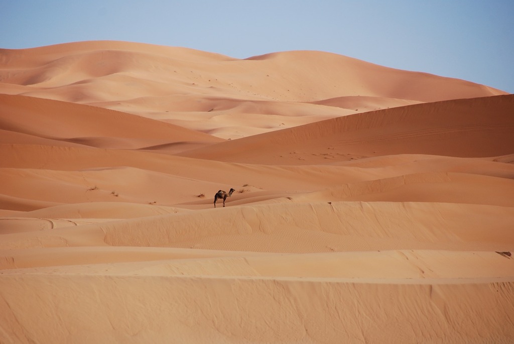 4,000+ Free Sand Dunes & Desert Images - Pixabay