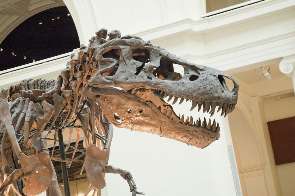 A fake t - rex with its mouth open next to a tree. Rex dino t rex. - PICRYL  - Public Domain Media Search Engine Public Domain Search