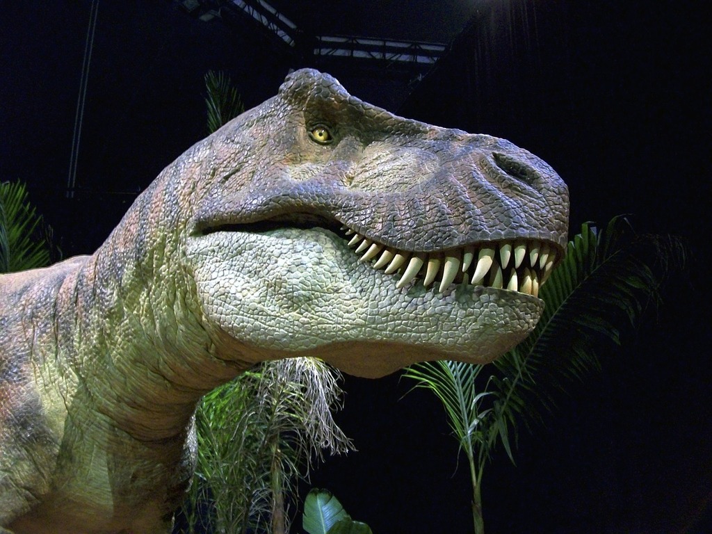 Download Dinosaur Dino T-Rex Royalty-Free Stock Illustration Image - Pixabay