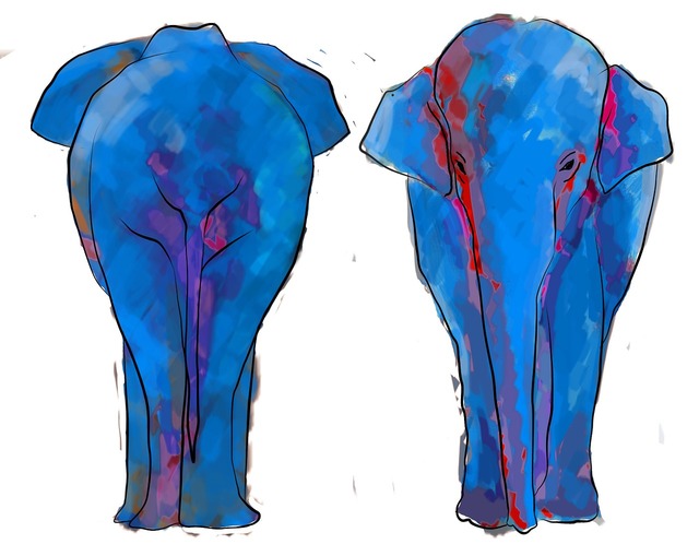 elephant-illustration-colors-animals-6f9a2c-640.jpg