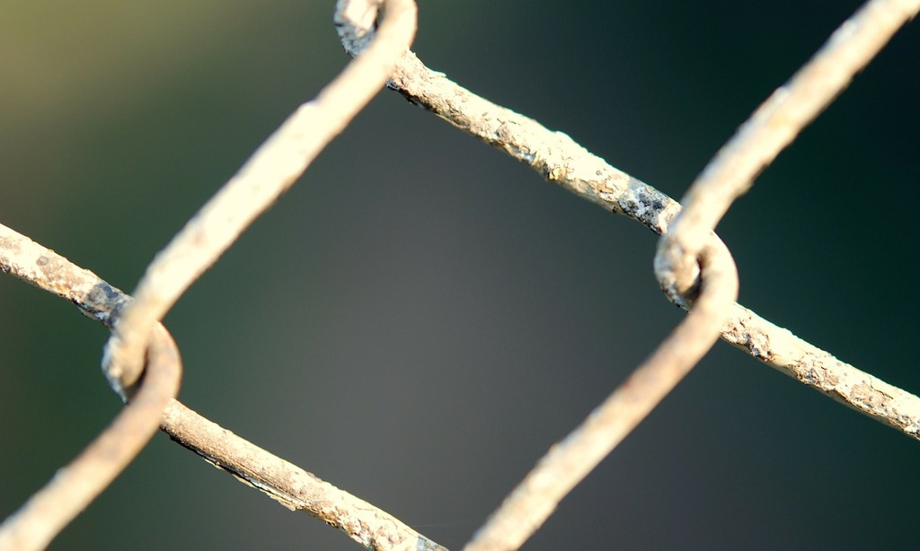 A piece of barbed wire sticks out of the ground on - PICRYL - Public Domain  Media Search Engine Public Domain Search