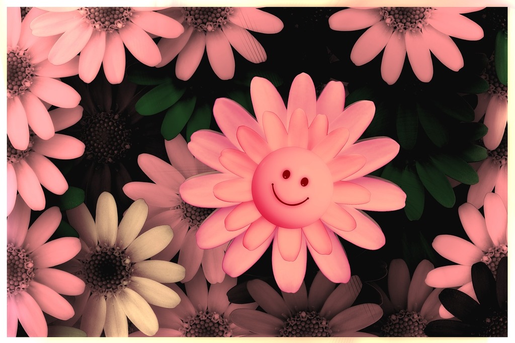 smiley pink and purple flowers