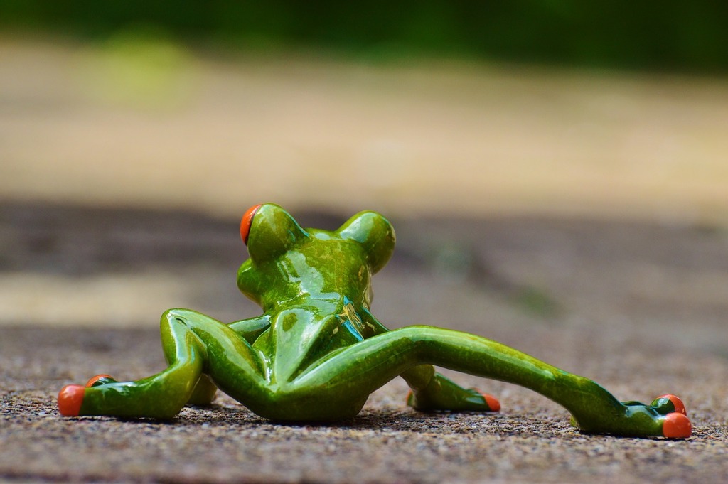 A small green frog sitting on the ground. Frog funny figure