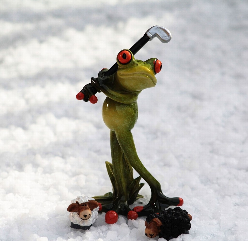 Frog Figurine Ice Fishing On Snowy Stock Photo 430627972