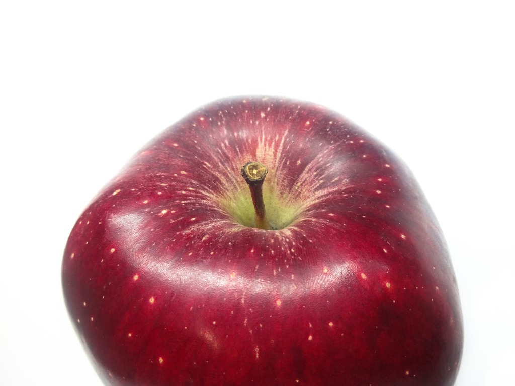 File:Red Apple.jpg - Wikimedia Commons