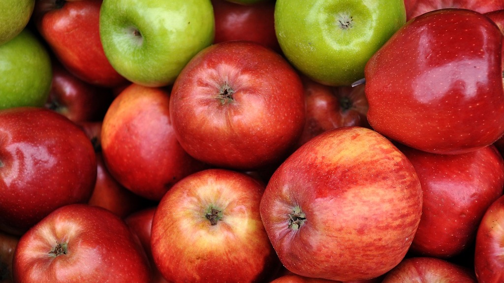 Small apples on branch - PICRYL - Public Domain Media Search Engine Public  Domain Search