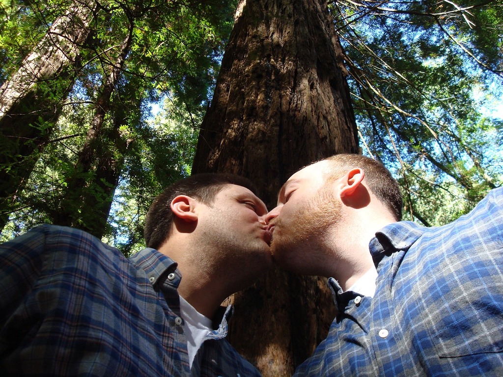 Two men kissing each other in front of a tree. Gay marriage love kiss,  emotions. - PICRYL - Public Domain Media Search Engine Public Domain Search