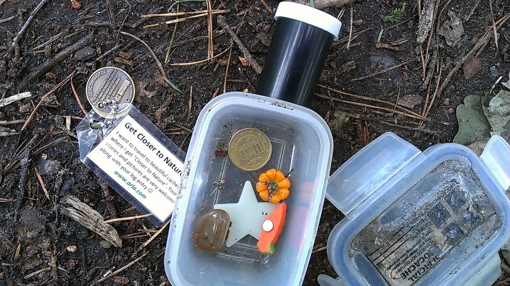 A plastic container filled with coins and other items. Geocache