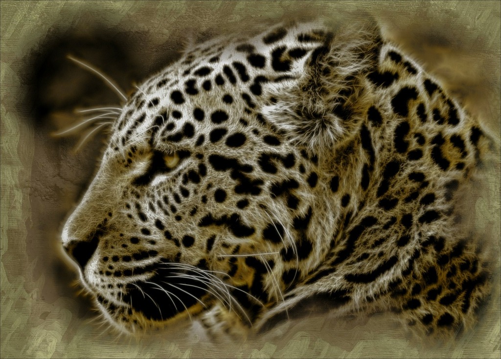 Jaguar Watercolor Predator Animals Wildlife Stock Illustration