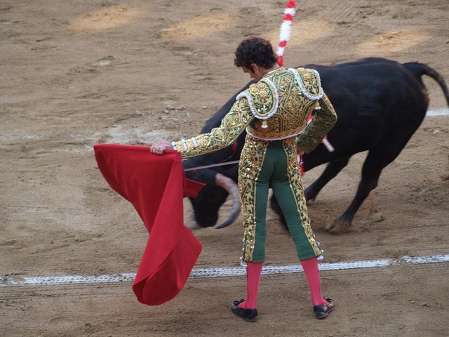 A bull and a man are fighting in a bullfight. Banderillero torero  banderillas. - PICRYL - Public Domain Media Search Engine Public Domain  Image