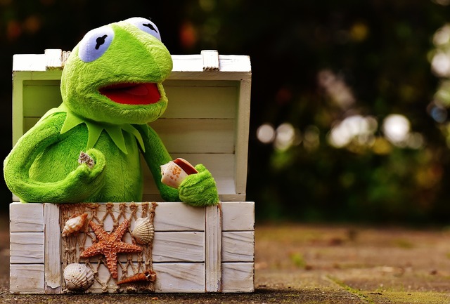 Free Images : kermit, frog, funny, soft toy, stuffed animal, teddy bear,  toys 5268x3638 - - 1372183 - Free stock photos - PxHere