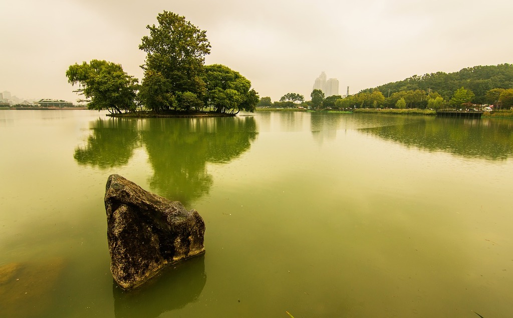 A large rock sitting in the middle of a lake. Lake water tree. - PICRYL - Public  Domain Media Search Engine Public Domain Search