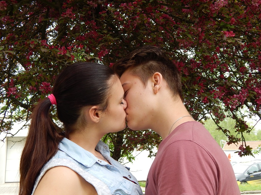 Kiss By Tree Photos, Images and Pictures