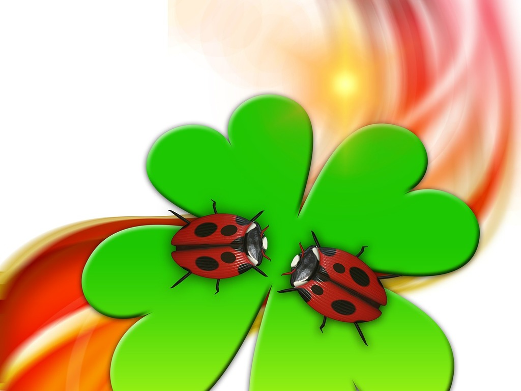 Ladybug Wallpaper Free Stock Photo - Public Domain Pictures