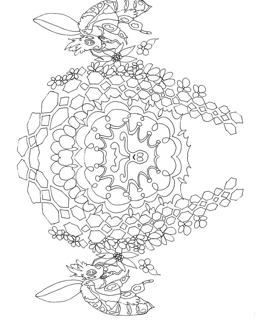 A black and white drawing of a turtle. Mandala coloring for adults