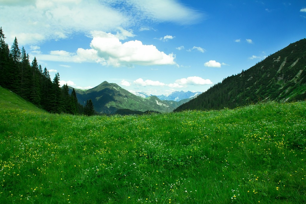 A field of green grass with mountains in the background Mountains trail  alpine. - PICRYL - Public Domain Media Search Engine Public Domain Image