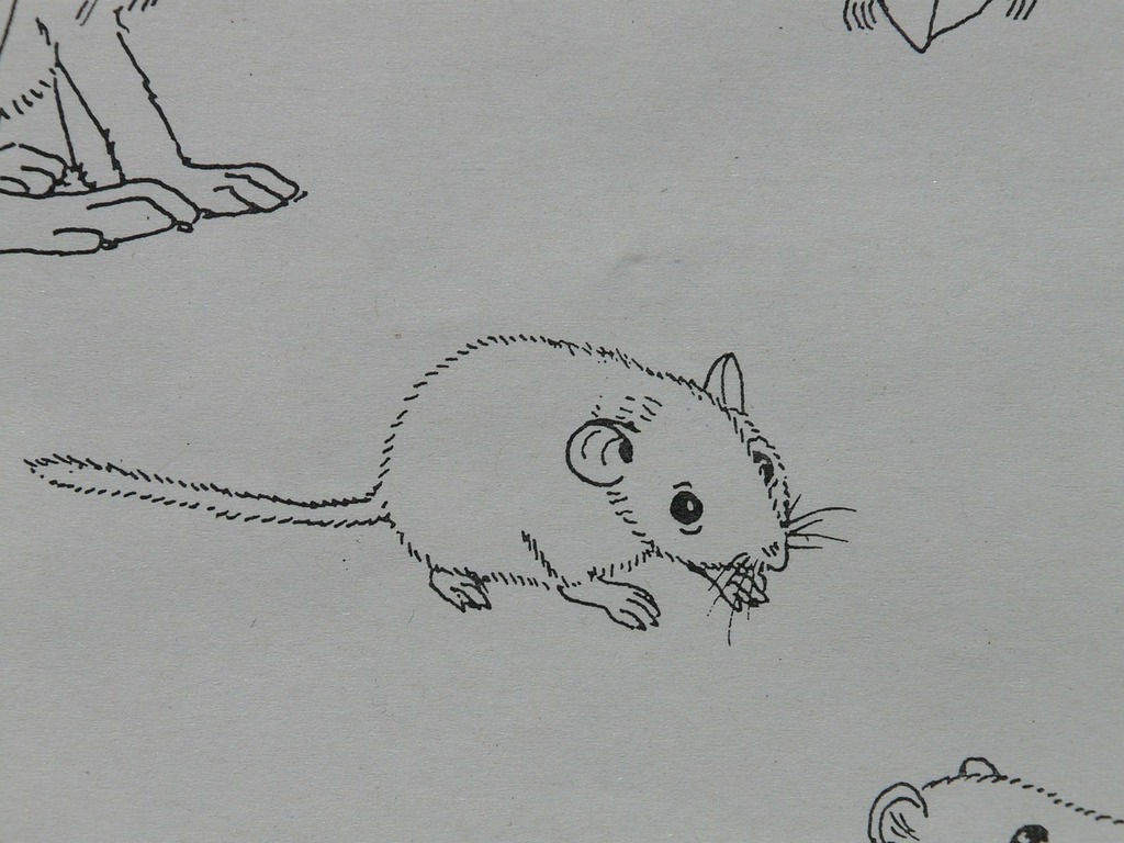Cute drawing of a mouse on Craiyon