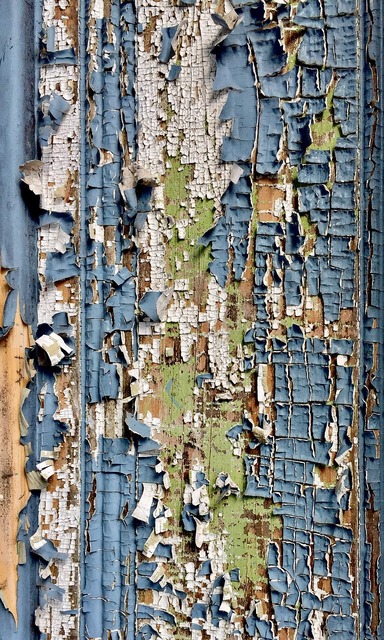12 Birch Bark Texture Backgrounds ~
