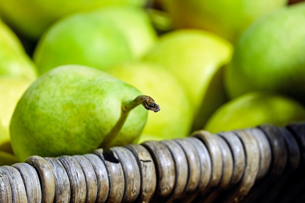 Green apples.  Fruit, Fruit photography, Fresh fruit