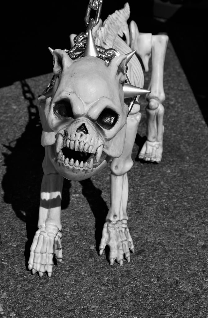 Skeleton Dog