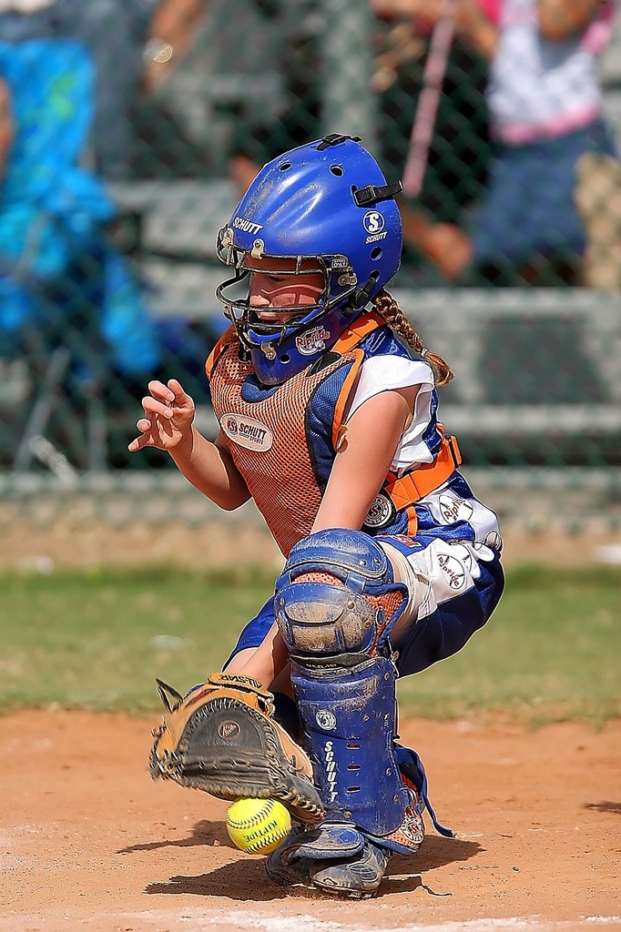 Softball Catcher Mask On Stock Photo 1392304760