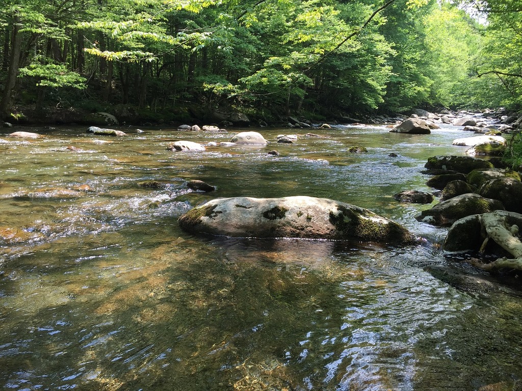 Free Images : rock, water, vacation, countryside, hill, forrest, plant,  green, natural landscape, fluvial landforms of streams, tree, watercourse,  riparian zone, groundcover, sky, mountain river, arroyo, bedrock, jungle,  creek, valley, temperate broadleaf