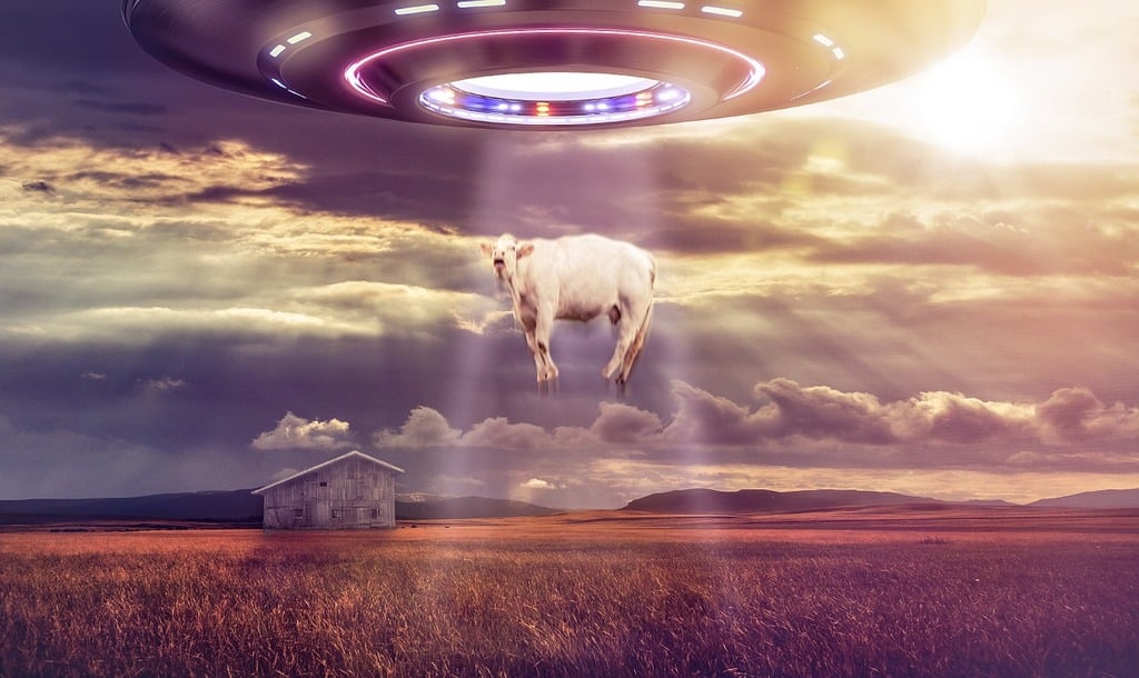 A white horse standing in a field under a flying saucer. Ufo aliens abduction. - PICRYL - Public Domain Media Search Engine Public Domain Search