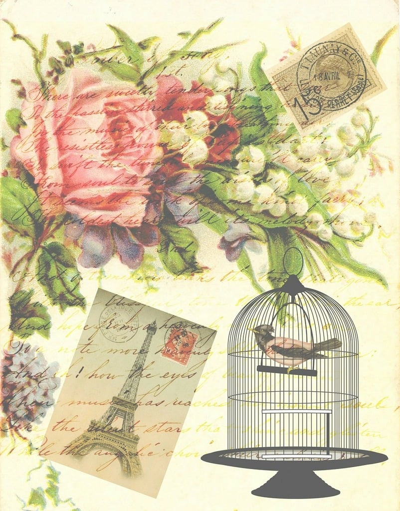 A birdcage with a bunch of flowers in it. Vintage victorian bird, animals.  - PICRYL - Public Domain Media Search Engine Public Domain Search