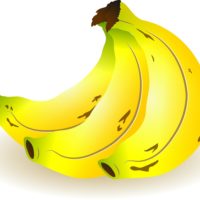 https://cdn12.picryl.com/thumbnail/2016/12/31/bananas-bunch-fruit-food-drink-a18e0a-200.jpg