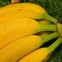 Banana - Ripe (Bunch) – MK Local Foods