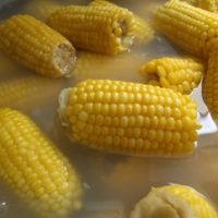 A close up of a corn cob on a table. Corn grain corn on the cob,  backgrounds textures. - PICRYL - Public Domain Media Search Engine Public  Domain Search