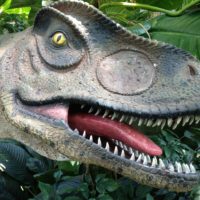 A fake t - rex with its mouth open next to a tree. Rex dino t rex. - PICRYL  - Public Domain Media Search Engine Public Domain Search