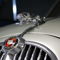A close up of a car's hood ornament. Jaguar car vintage. - PICRYL - Public  Domain Media Search Engine Public Domain Image