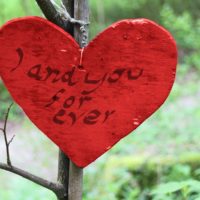 Royalty-Free photo: Closeup photo of red heart print in tree